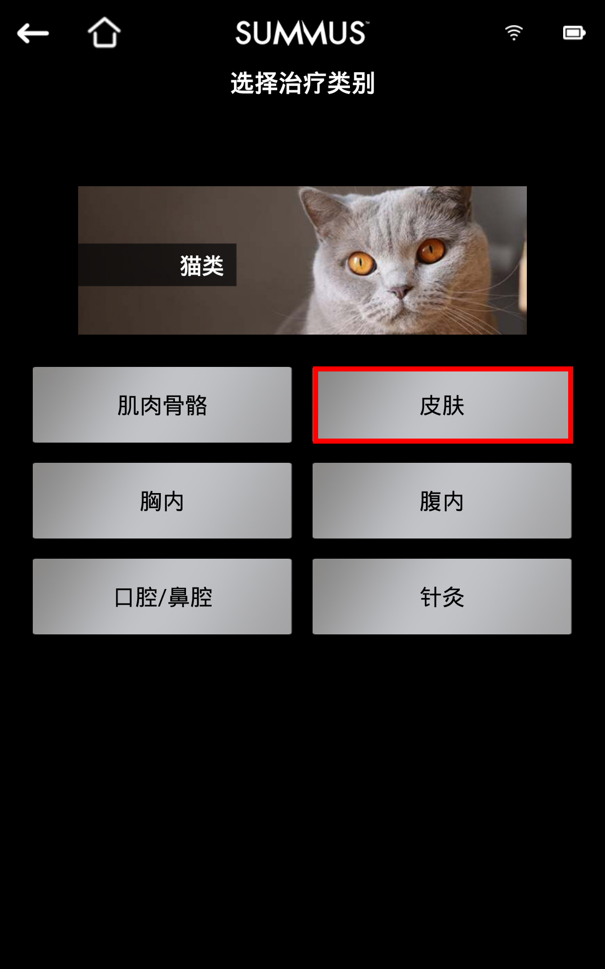 3.0猫类.jpg