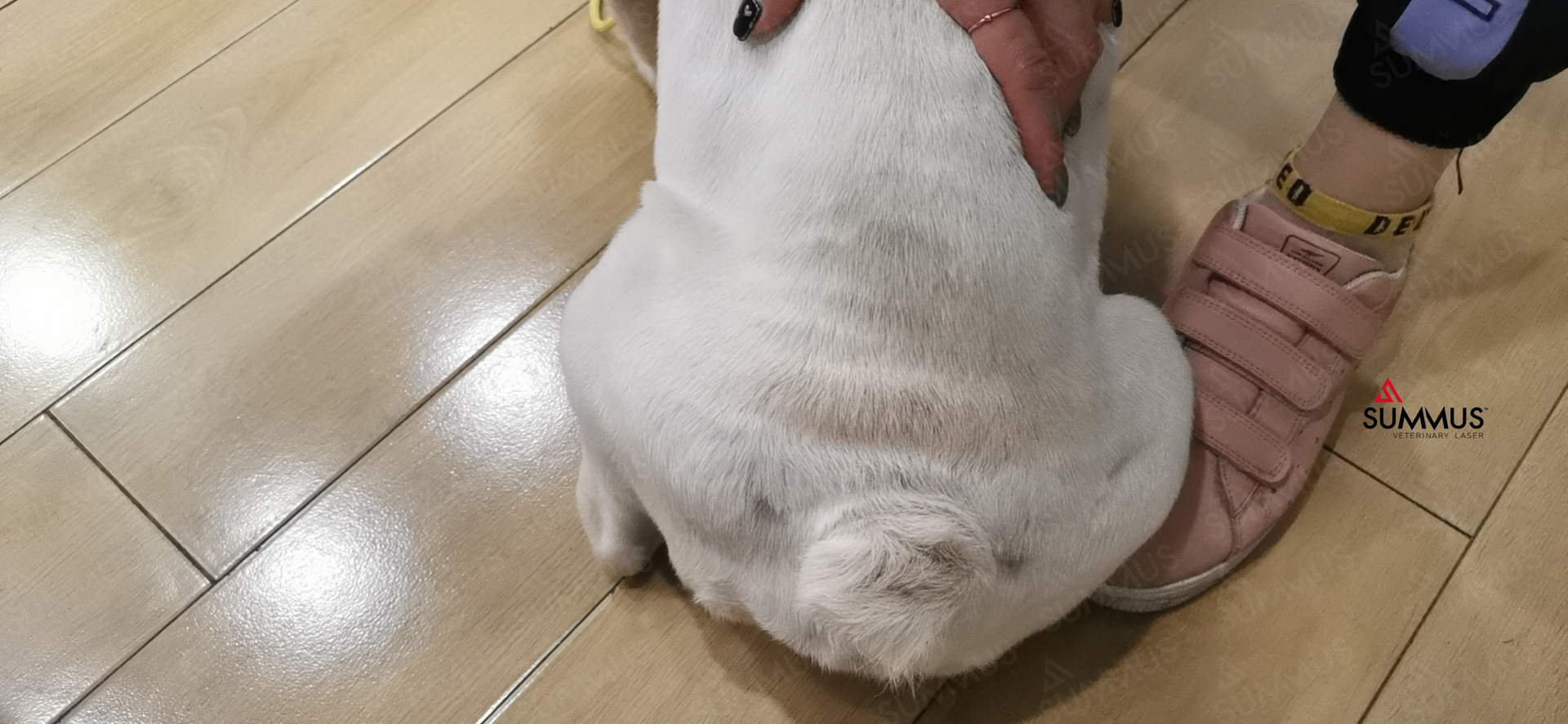 恢复后.jpg