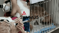 04.gif