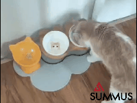 05.gif