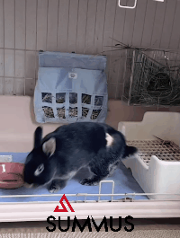 治疗中(1).gif