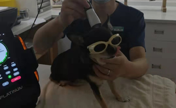 病例照片3