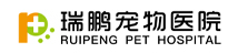 上海瑞鹏黄兴路动物医院