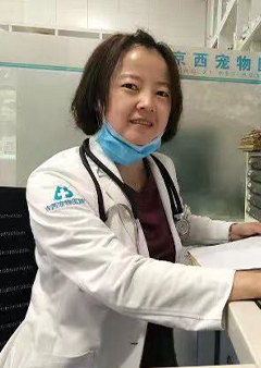 牛彩虹