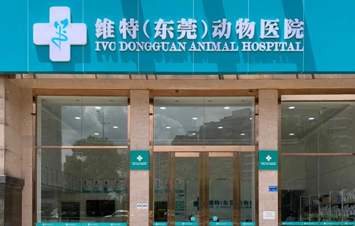 维特（东莞）动物医院