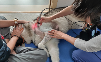 病例照片
