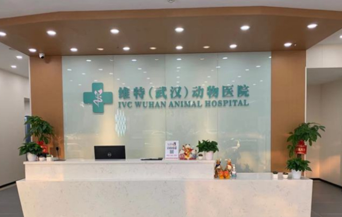 武汉维特中心医院