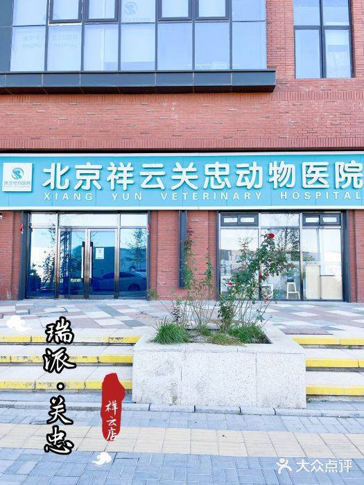 北京瑞派祥云关忠宠物医院
