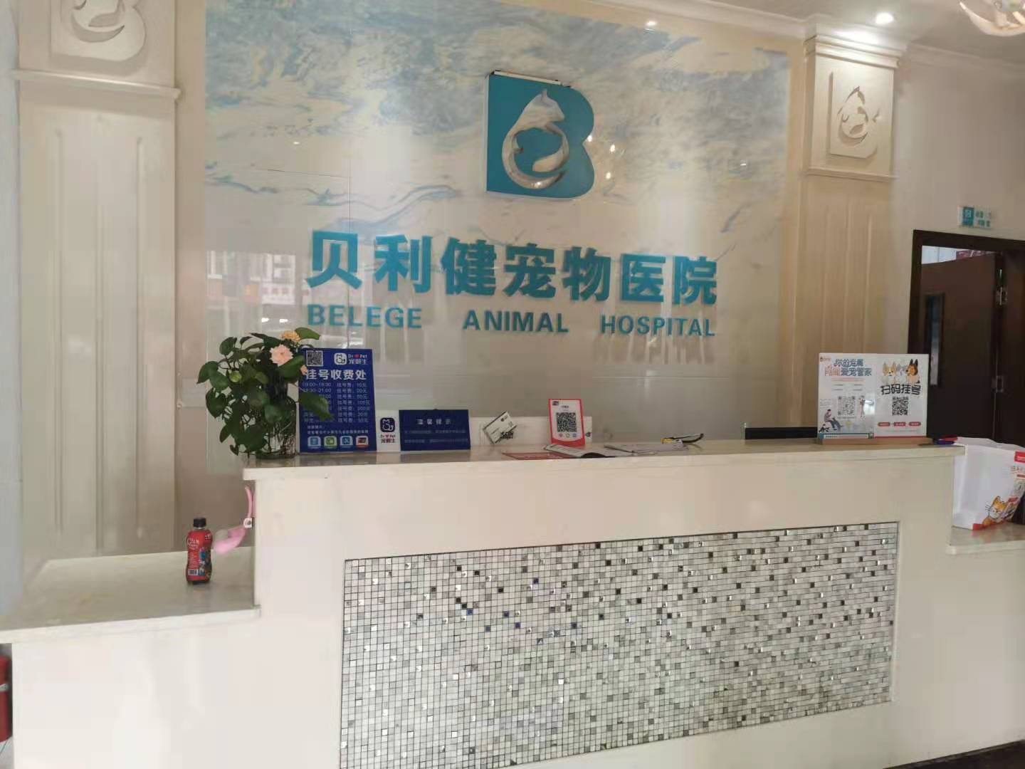 重庆贝利健宠物医院