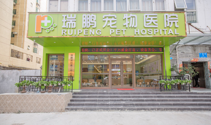 深圳瑞鹏第二中心医院