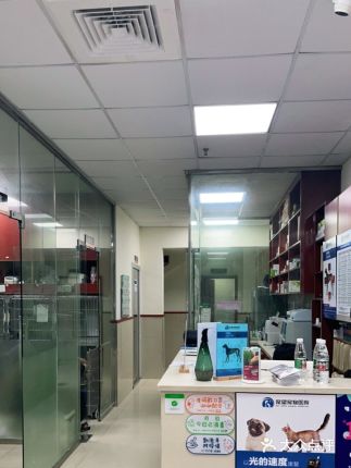 苏州宠望宠物医院