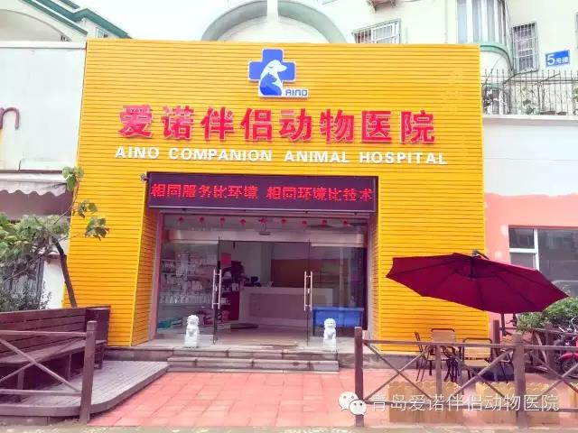 青岛爱诺伴侣动物医院（热河路总店）