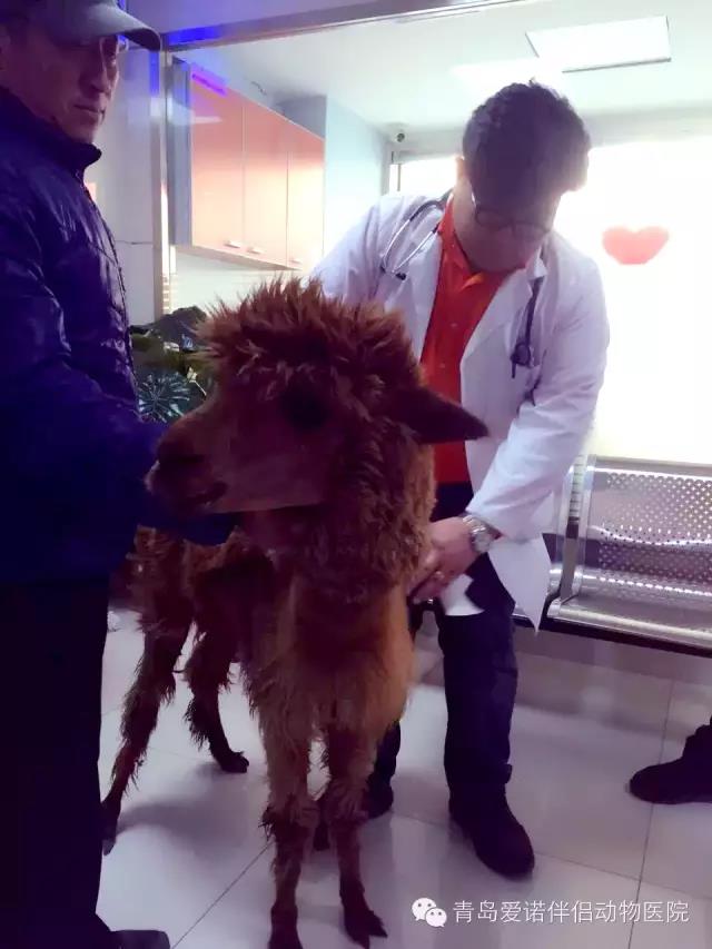 魏仁生