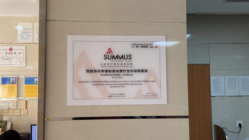 WPS图片(1)