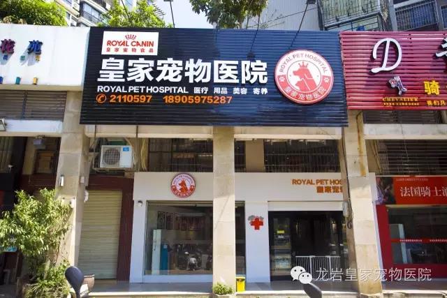 龙岩皇家宠物医院