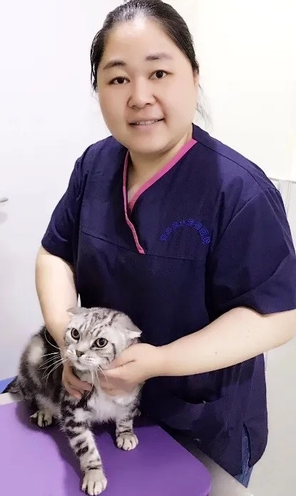 张轶