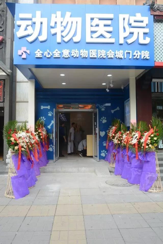 北京全心全意连锁动物医院会城门分院