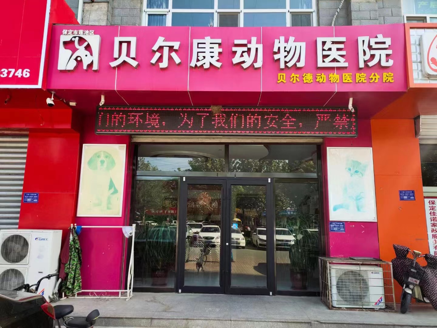贝尔德动物医院七一路店