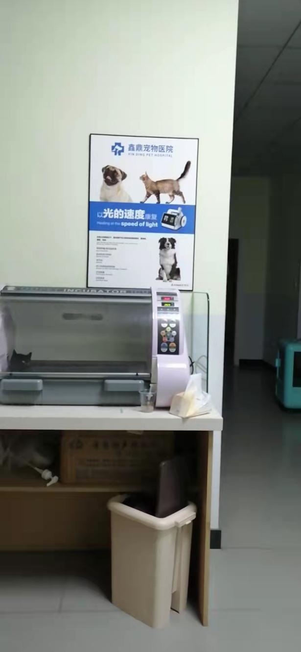 WPS图片(1)