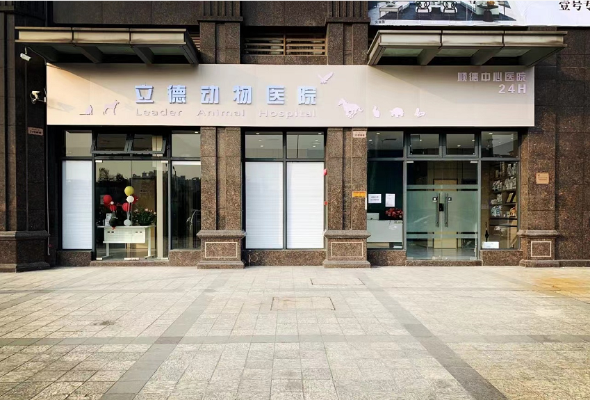 立德动物医院(大良分院)